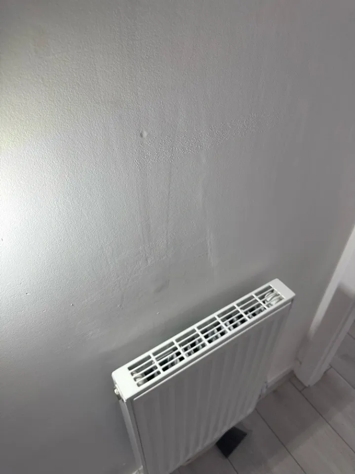 Joinery and trim check